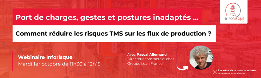 bannière Port de charges, gestes et postures inadaptés ... Comment réduire les risques TMS sur les flux de production ? 